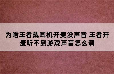 为啥王者戴耳机开麦没声音 王者开麦听不到游戏声音怎么调